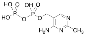 (4-Amino-2-methylpyrimidin-5-yl)methyl Trihydrogen Diphosphate