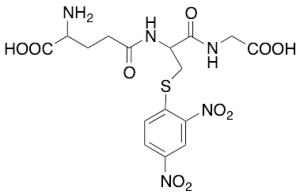 S-(2,4-Dinitrophenyl)-Glutathione