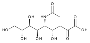 N-Acetylneuraminic Acid