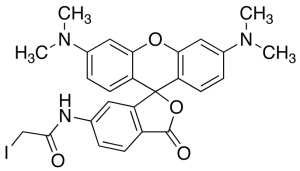 6-Iodoacetamidotetramethyl Rhodamine, (Technical grade)