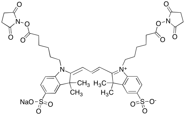 Cyanine 3 Bihexanoic Acid Dye, Succinimidyl Ester, Sodium Salt (~90%)