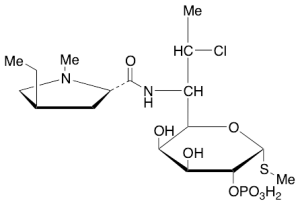 Clindamycin B 2-Phosphate