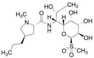 Lincomycin Sulfone