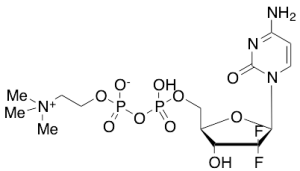 Gemcitabine Diphosphate Choline