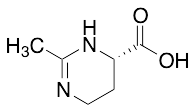 (S)-2-Methyl-1,4,5,6-tetrahydropyrimidine-4-carboxylic Acid