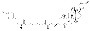 Digoxigenin Tyramide