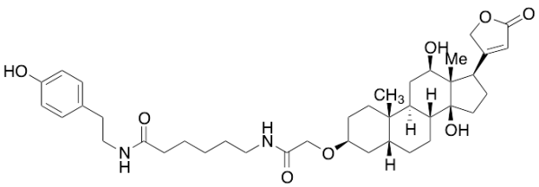 Digoxigenin Tyramide