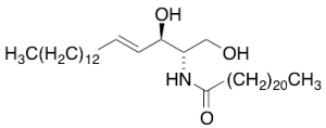 C22 Ceramide