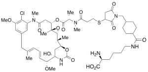 Lys-SMCC-DM1 (~90%)
