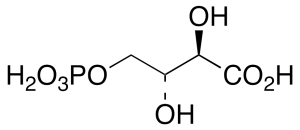 4-Phospho D-Erythronate