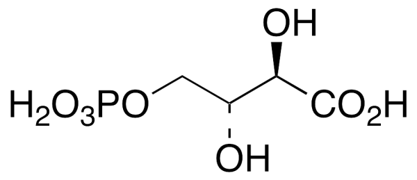 4-Phospho D-Erythronate
