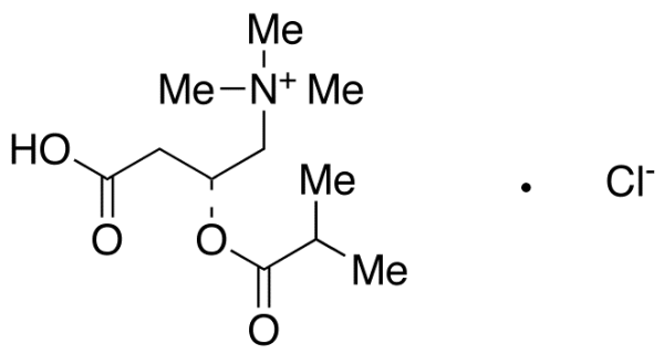 Isobutyryl L-Carnitine Chloride