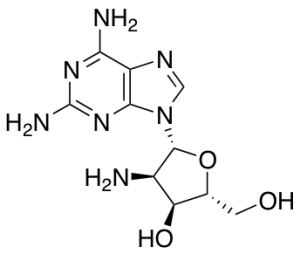 2'-AMINO-2'-DEOXY-2,6-DIAMINOPURINERIBOSIDE