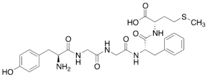 Met-enkephalin