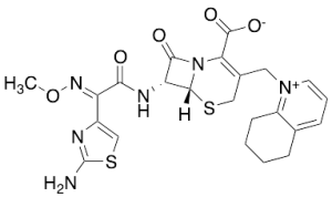 Cefquinome