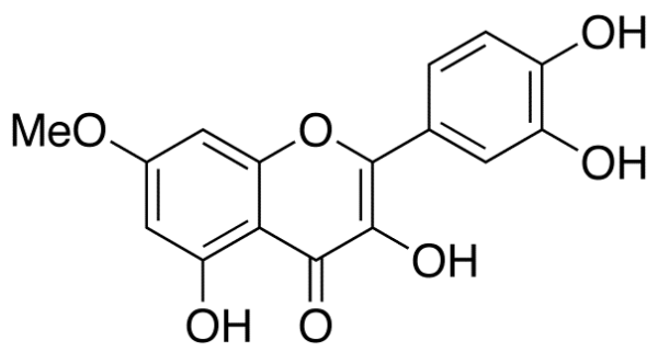 7-O-Methyl Quercetin