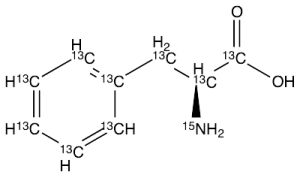 L-Phenylalanine -13C9-15N