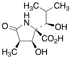 (3R,4S,5R)-4-Hydroxy-5-[(1S)-1-hydroxy-2-methylpropyl]-3-methyl-2-pyrrolidinone-5-carboxylic Acid