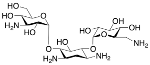 Kanamycin A Deuterated (>90%)