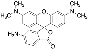 6-Aminotetramethyl Rhodamine