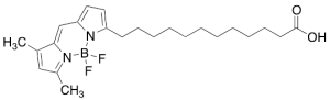 12-BODIPY-dodecanoic Acid