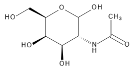 N-Acetyl-D-galactosamine