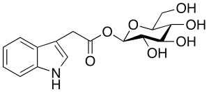 Indole-3-acetyl beta-D-Glucopyranose