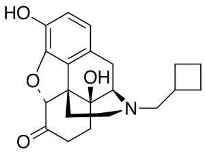 6-Keto Nalbuphine