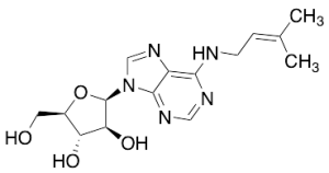 6-(Gamma,Gamma-Dimethylallylamino)purine Arabinoside