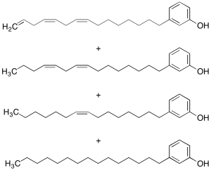 Cardanol (Mixture) (>80%)