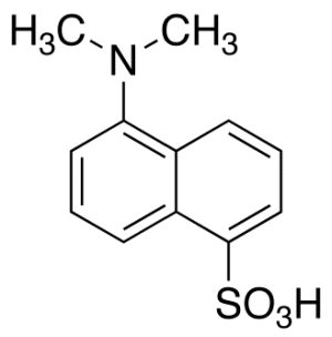 Dansyl Acid
