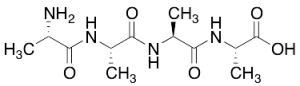 L-Alanyl-L-Alanyl-L-Alanyl-L-Alanine
