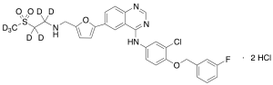 Lapatinib-d7 Dihydrochloride