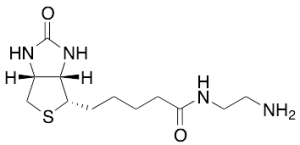 N-(2-Aminoethyl)biotinamide