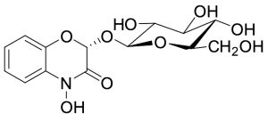 DIBOA-Glucoside