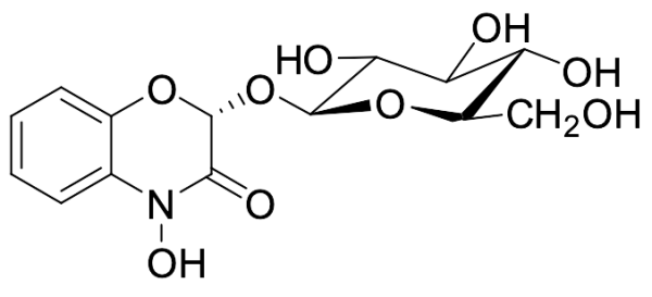 DIBOA-Glucoside