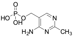 (4-Amino-2-methylpyrimidin-5-yl)methyl Dihydrogen Phosphate