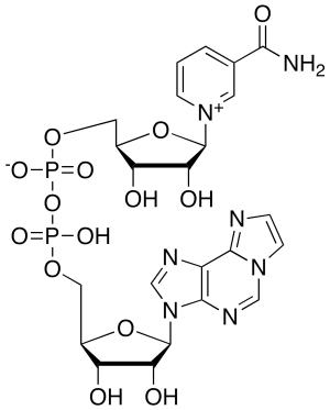Nicotinamide 1,N6-Ethenoadenine Dinucleotide