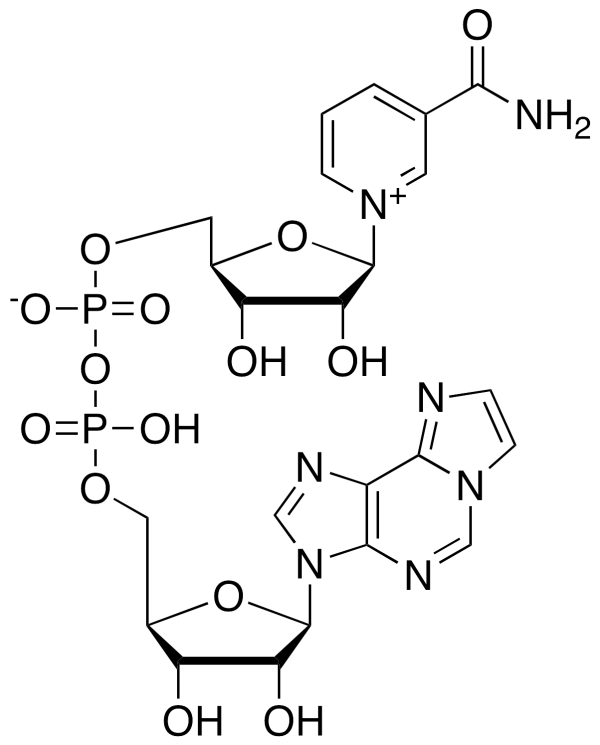 Nicotinamide 1,N6-Ethenoadenine Dinucleotide