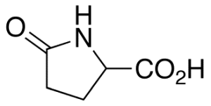DL-2-Pyrrolidone-5-carboxylic Acid