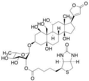 Biotinoyl Ouabain
