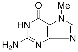 7-Methylguanine