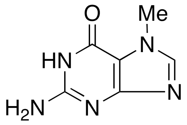 7-Methylguanine