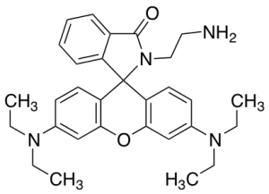 2-(2-Aminoethyl)-3',6'-bis(diethylamino)spiro[isoindoline-1,9'-xanthen]-3-one (>80%)