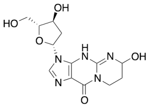3-(2-Deoxy-beta-D-erythro-pentofuranosyl)-4,6,7,8-tetrahydro-6-hydroxypyrimido[1,2-a]purin-10(3H)-one
