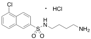 N-(4-Aminobutyl)-5-chloro-2-naphthalenesulfonamide Hydrochloride
