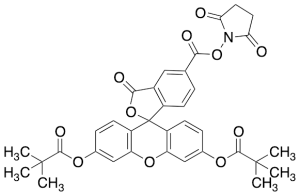 5-Carboxyfluorescein Dipivalate N-Hydroxysuccinimide Ester