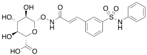 Belinostat Glucuronide
