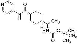 (1R)-trans-4-[N-Boc-1-aminoethyl]-N-4-pyridinyl-cyclohexanecarboxamide (~90% R)