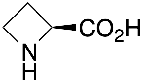 L-Azetidine-2-carboxylic Acid